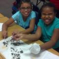 EWWWW....Barn Owl Pellets!